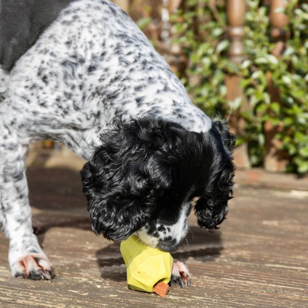 Nuzzle Puzzle Puppy - Pear