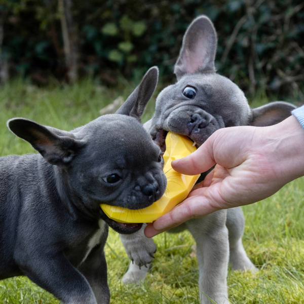 Nuzzle Puzzle Puppy - Banana