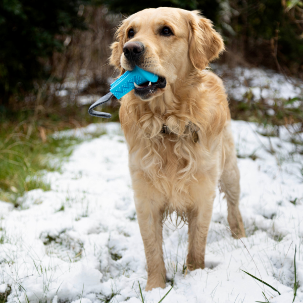 Nuzzle Puz Fling N Forage Bell