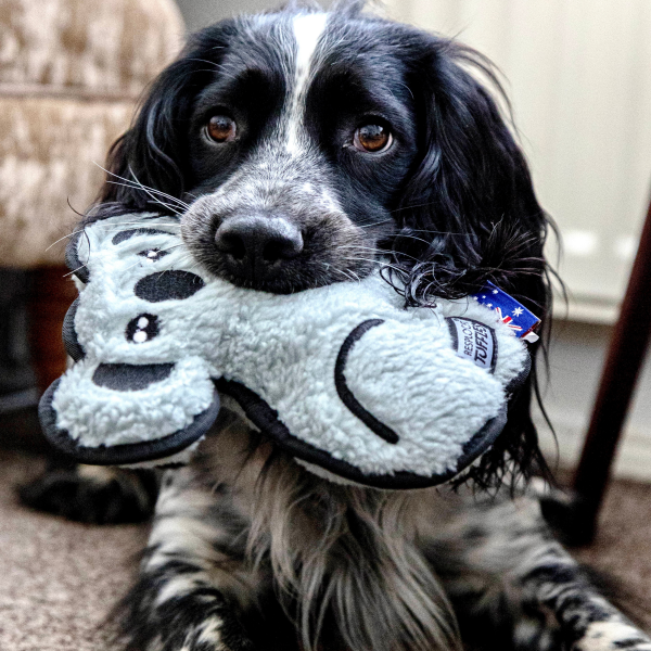 Pl Resploot Tuffles Koala