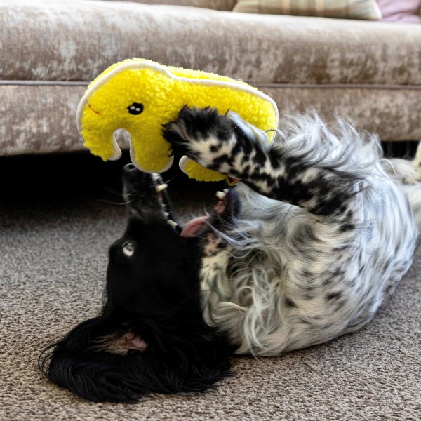 Pl Resploot Tuffles Elephant