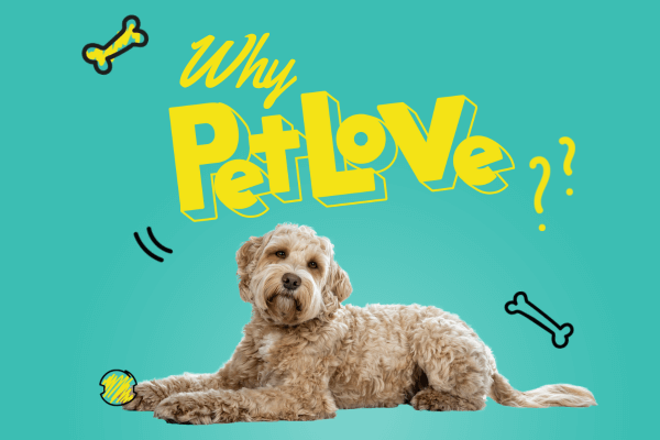 Pourquoi PetLove