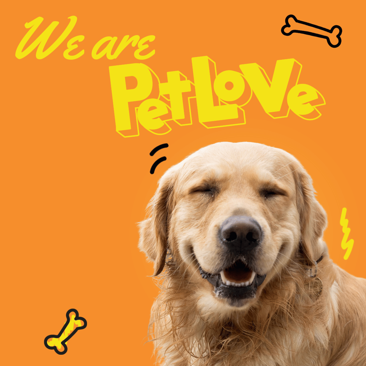 we are petlove