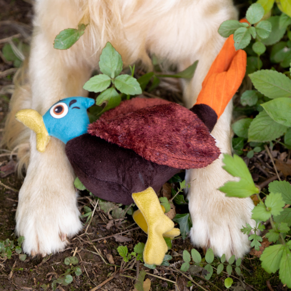 Hunt N Squeak Pheasant