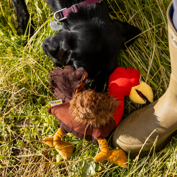 Hunt N Squeak Wild Turkey