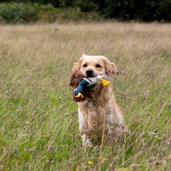 Hunt N Squeak Wood Duck