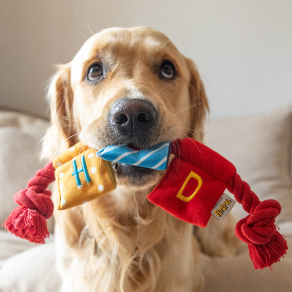 Pawty Time - Bunting