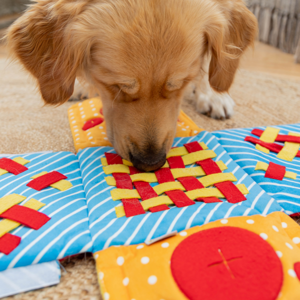 Pawty Time - Snuffle Gift Box