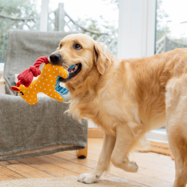 Pawty Time - Hide N Treat Pinata