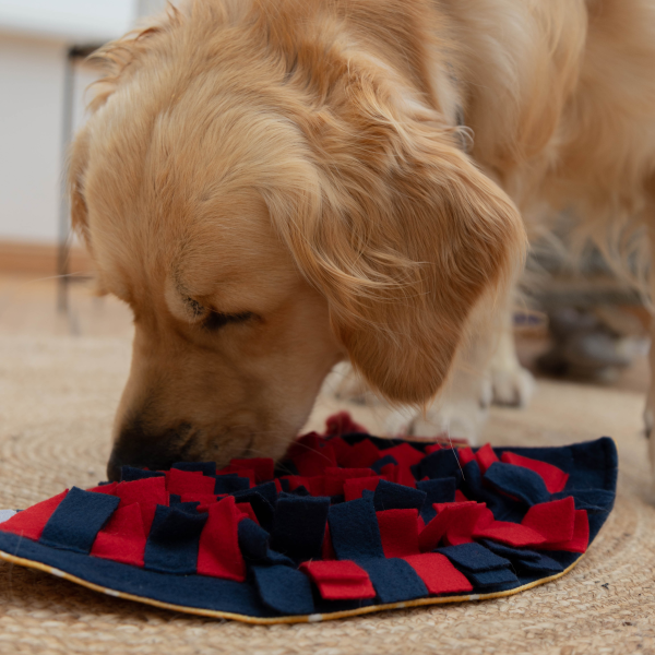 Pawty Time - Snuffle Hat