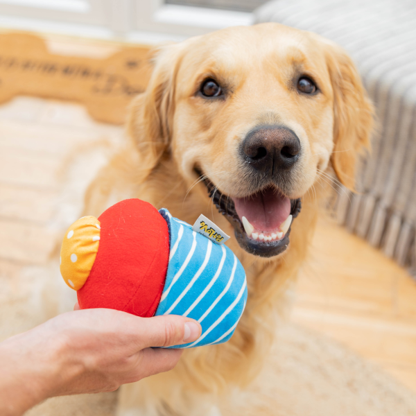 Pawty Time - Hide N Treat Cupcake