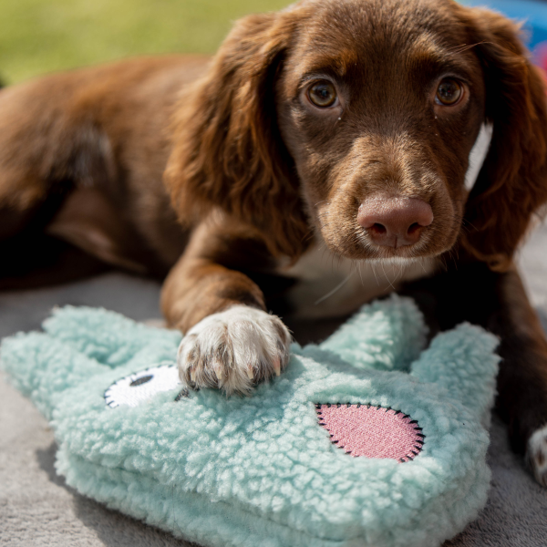 Pl Puppy Plushie Jimbo