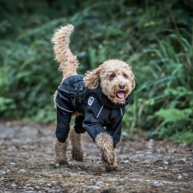 Doodles Coat Black Extra Large