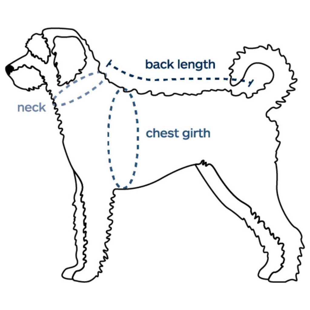 Calming Donut Bed - XL 2 test - Image 3